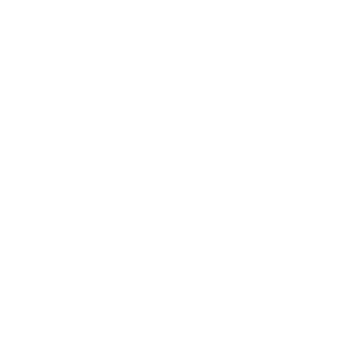 Voyant Dress