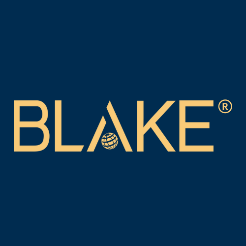 Blake Corporate | Strategic Vision, Trusted Results